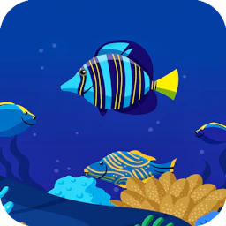 Ocean Math Game Online