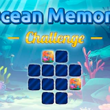 Ocean Memory Challenge