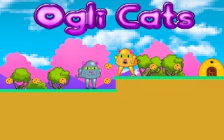 Ogli Cats