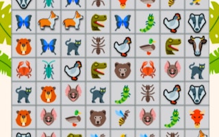 Onet Animals