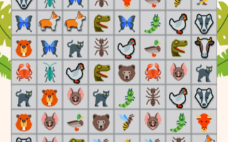 Onet Animals