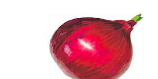 Onion thumbnail