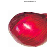 Onion