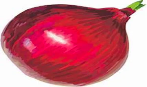 Onion Thumbnail