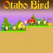 Otaho Bird banner