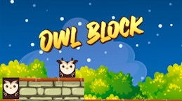 Owl Block