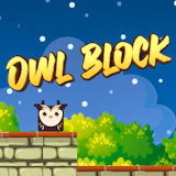 Owl Block