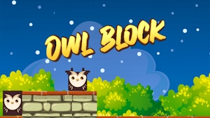 Image for Owl Block