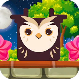 Owl Block