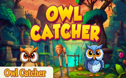 Owl Catcher