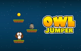 Owl Jumper