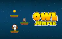 Owl Jumper