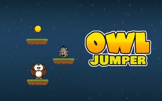 Owl Jumper