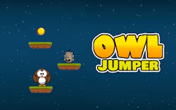 Owl Jumper