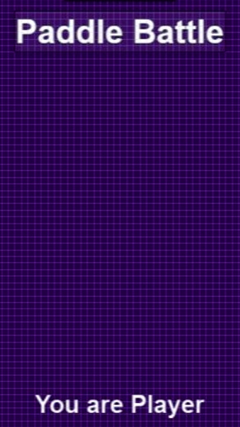 Paddle Battle 2.0