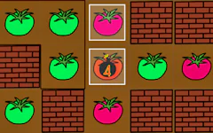 Paint Tomato