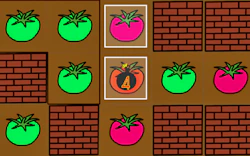Paint Tomato