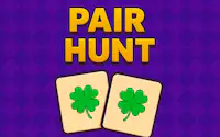 Pair Hunt