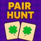 Pair Hunt