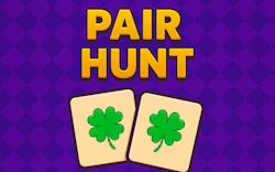 Pair Hunt