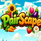 PairScape