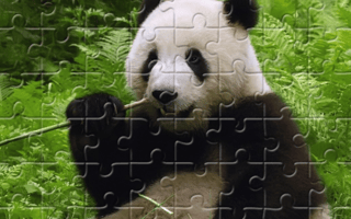 Pandas Puzzle game cover