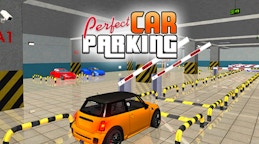 Perfect Car Parking
