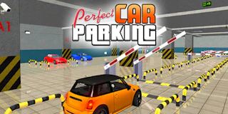 Perfect Car Parking thumbnail