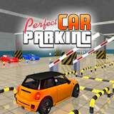 Perfect Car Parking