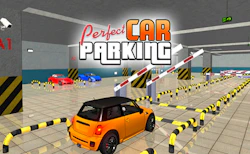 Perfect Car Parking