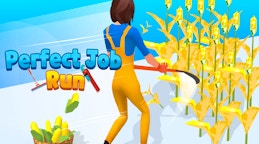 Perfect Job Run