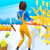 Perfect Job Run