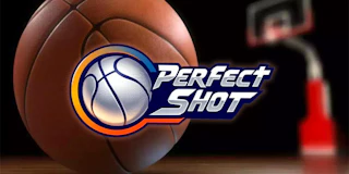 Perfect Shot thumbnail