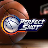 Perfect Shot