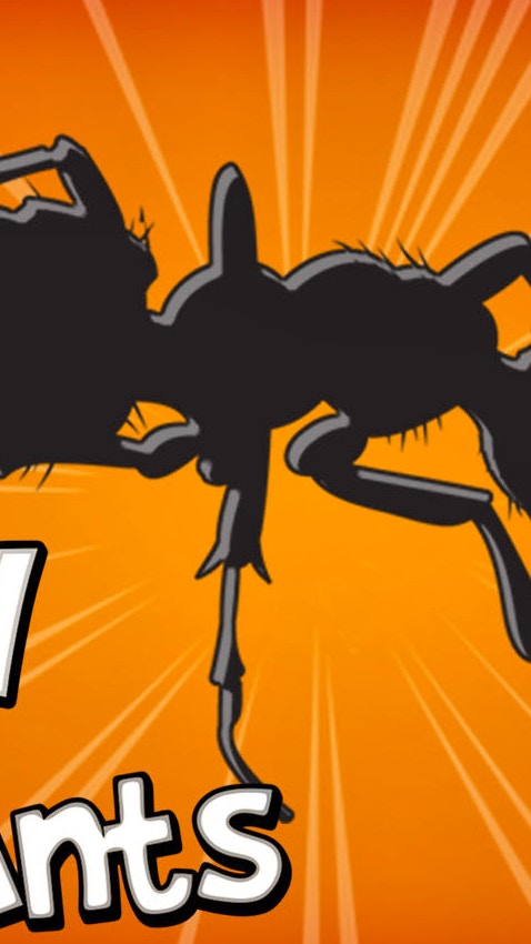 Crush the Ants