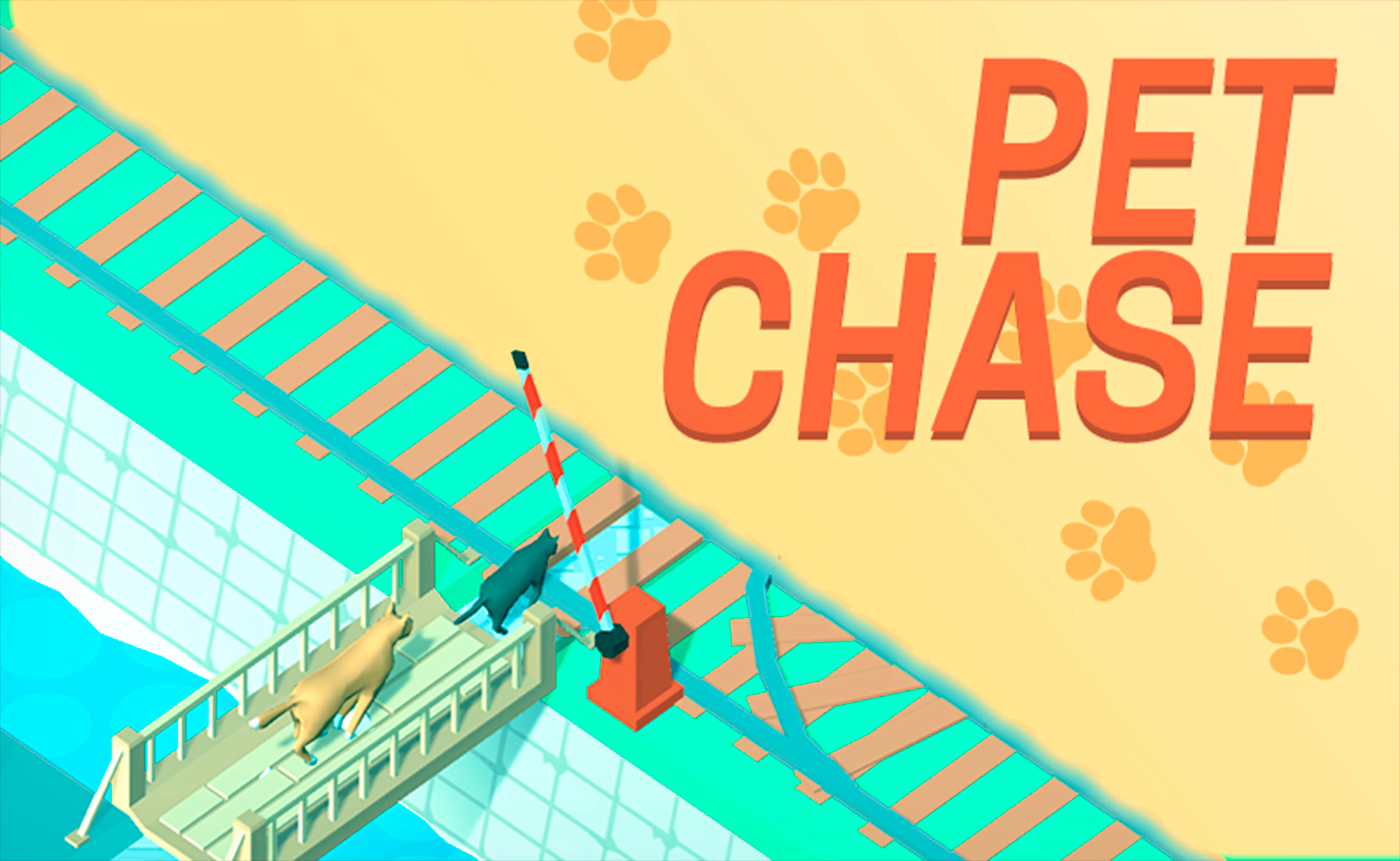Pet Chase