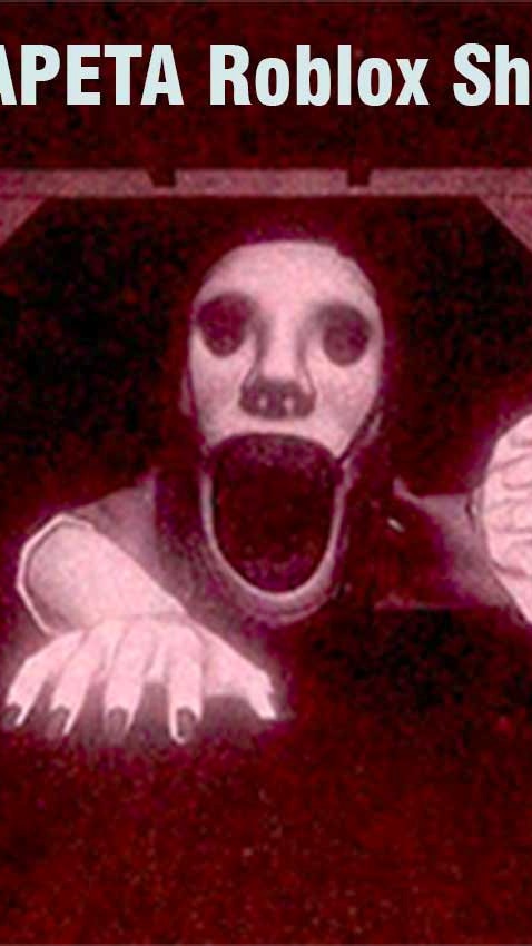 PetaPeta Roblox Shooter