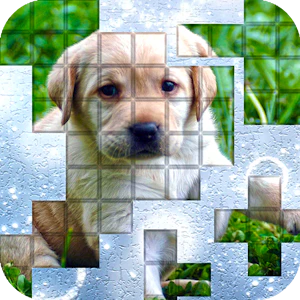 PicPu-Dog Thumbnail