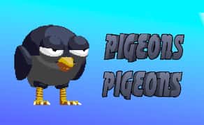 Pigeons Pigeons