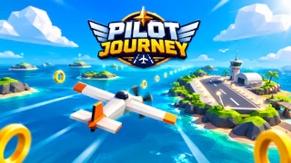 Pilot Journey