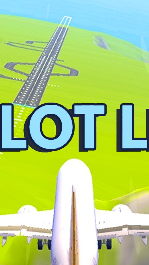 Pilot Life - Flight Game 3D