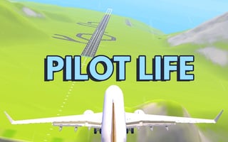 Pilot Life - Flight Game 3d game cover