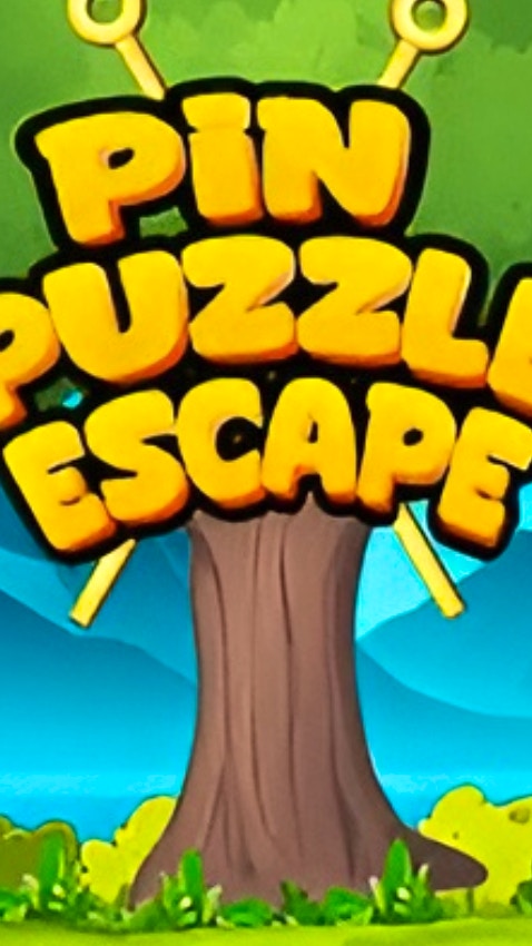 Pin Puzzle Escape