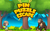 Pin Puzzle Escape