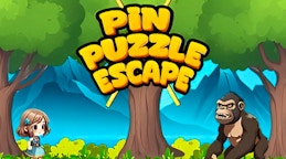 Pin Puzzle Escape