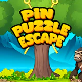 Pin Puzzle Escape