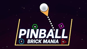 Image for Pinball Brick Mania