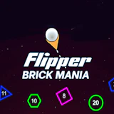 Flipper Brick Mania