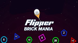 Image for Flipper Brick Mania