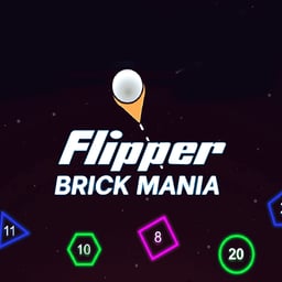 Flipper Brick Mania Online puzzle Games on taptohit.com